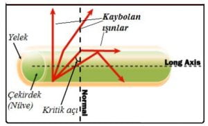 Fiber Optik Nedir