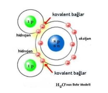 kovalent bağ